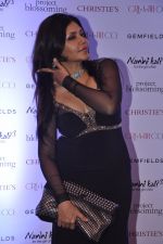 Nisha Jamwal at Gemfields red carpet in Trident, Mumbai on 6th June 2014